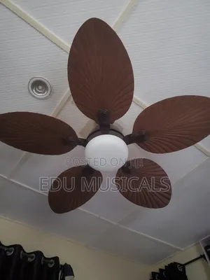 Amazon Fan