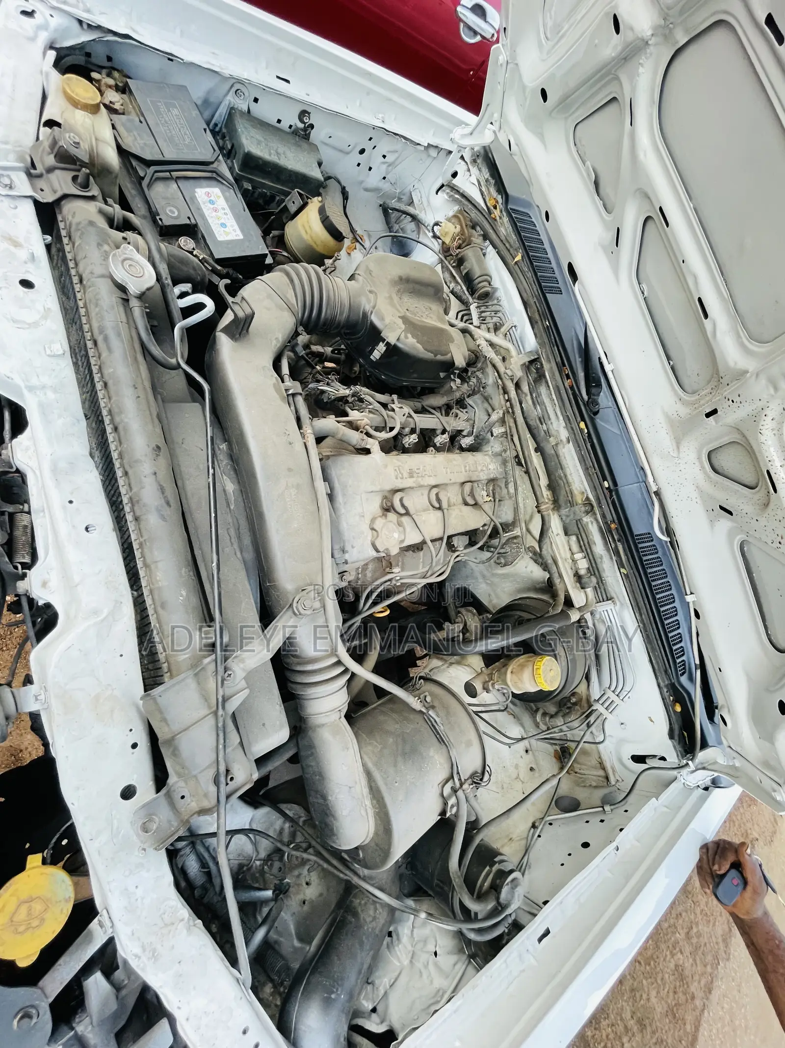 Nissan Hardbody 2012 White