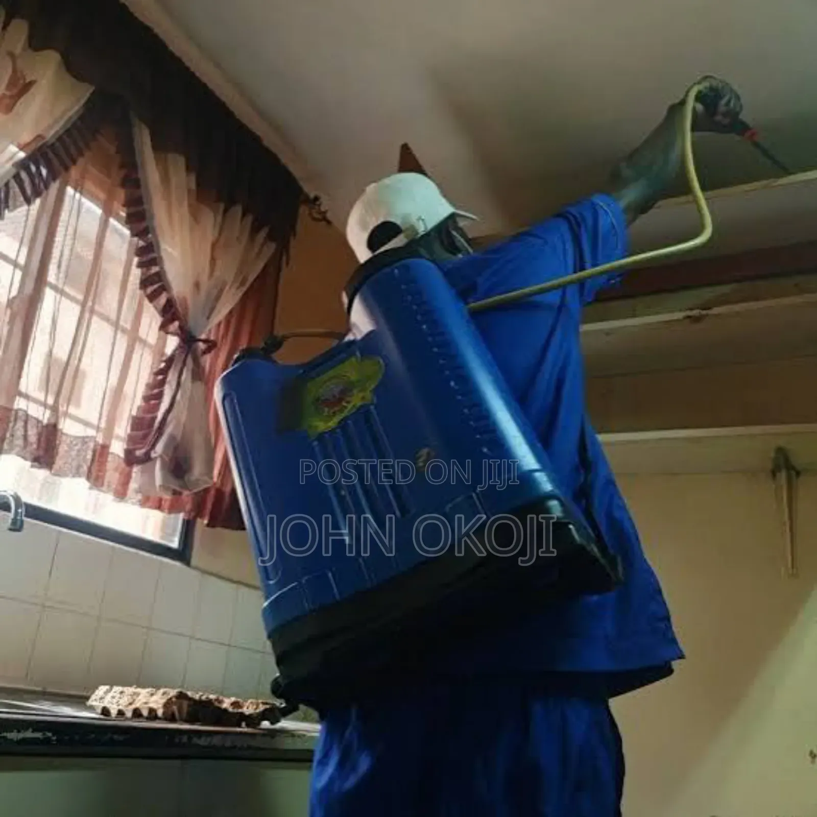 Kill All Stubborn Bedbugs Fumigation Service