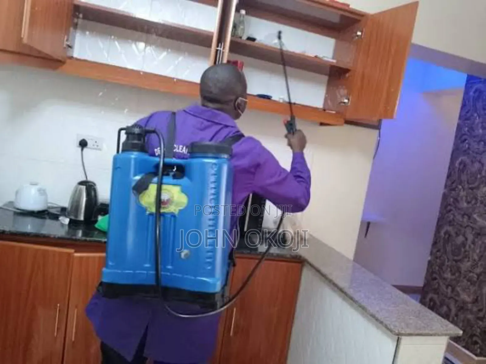 Kill All Stubborn Bedbugs Fumigation Service