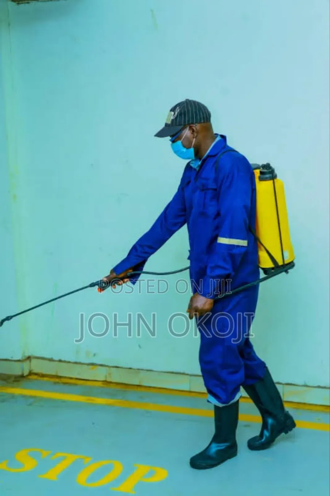Kill All Stubborn Bedbugs Fumigation Service