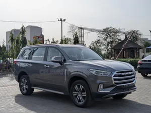 Maxus D60 2024 Gray
