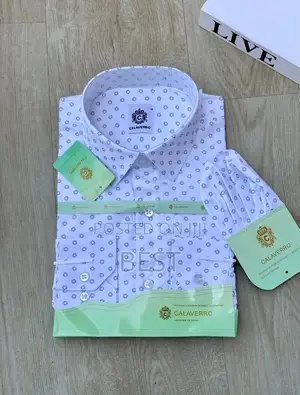 Quality Classic Corporate Shirts for Office Wear and Other