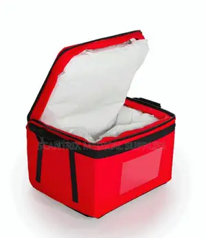 Insulated Blood Carrier Bag – Safe Medical Transport