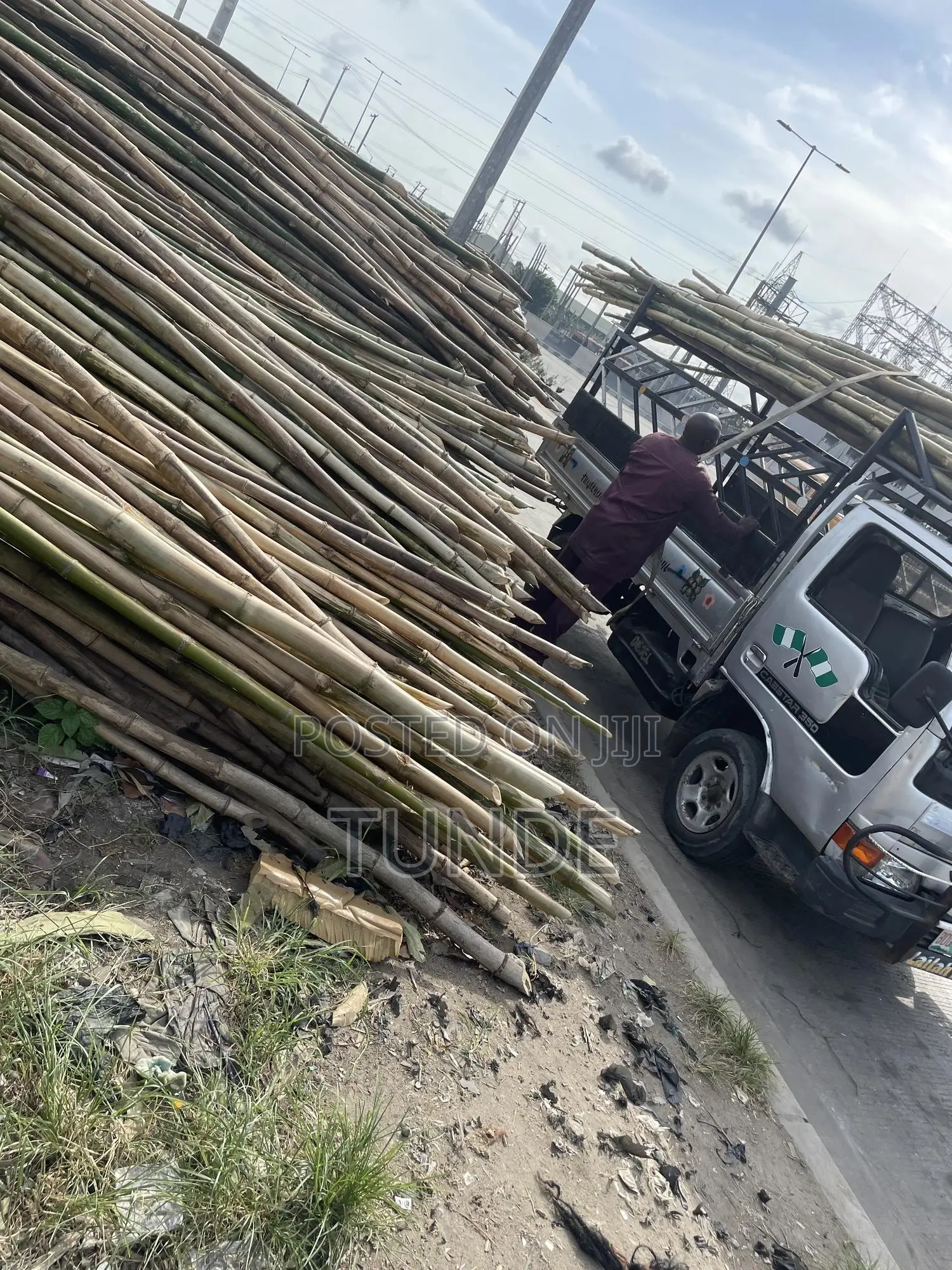 Bamboo for Building