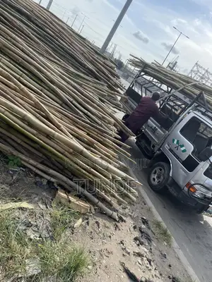 Bamboo for Building