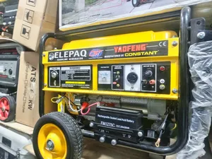Elepaq Constant Generator Sv6800e2 (4kva)