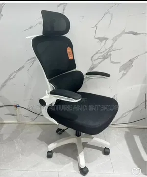 Office Chair (Ergonomic)
