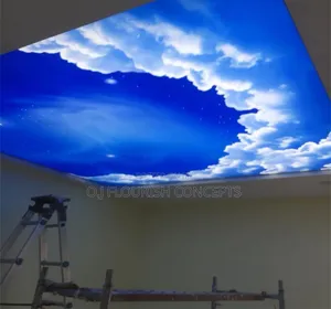 Dopey Stretch Ceiling