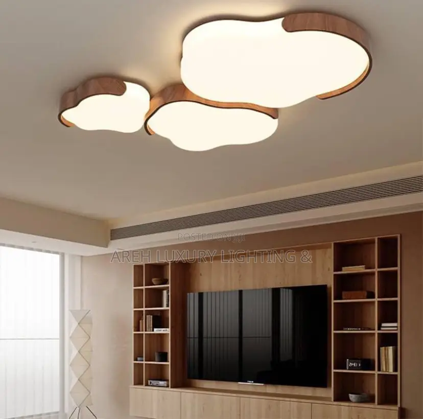 Modern Led Ceiling Light for Living Room Bedroom