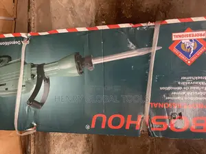 3000w Bousue Demolishing Breaker