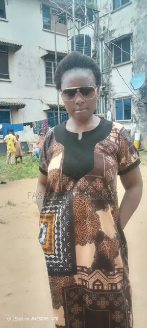 Community Health Extension Workers