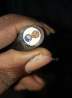 6mmx2core Coleman Electric Flexible Cable PVC