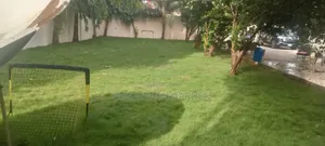 Gardening, Landscaping and Lawn