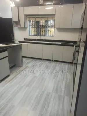 Expert Cleaning Services