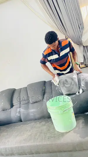 Intensive Sofa Cleaning Services