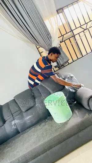 Intensive Sofa Cleaning Services
