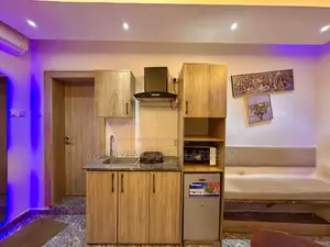 Furnished Studio Apartment in Garki 2 for rent