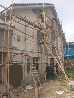 Wall Screeding and Painting