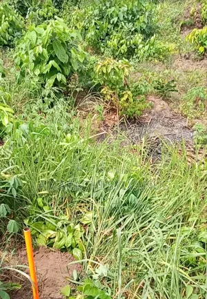One Plot Of Land For Sale