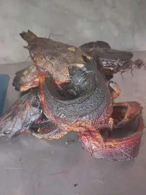 Premium Smoked Catfish (Whole Round) – Clean, Dry Well Packaged