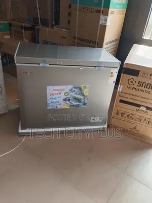 Snowsea Bd-308g Freezer Strong Capacity
