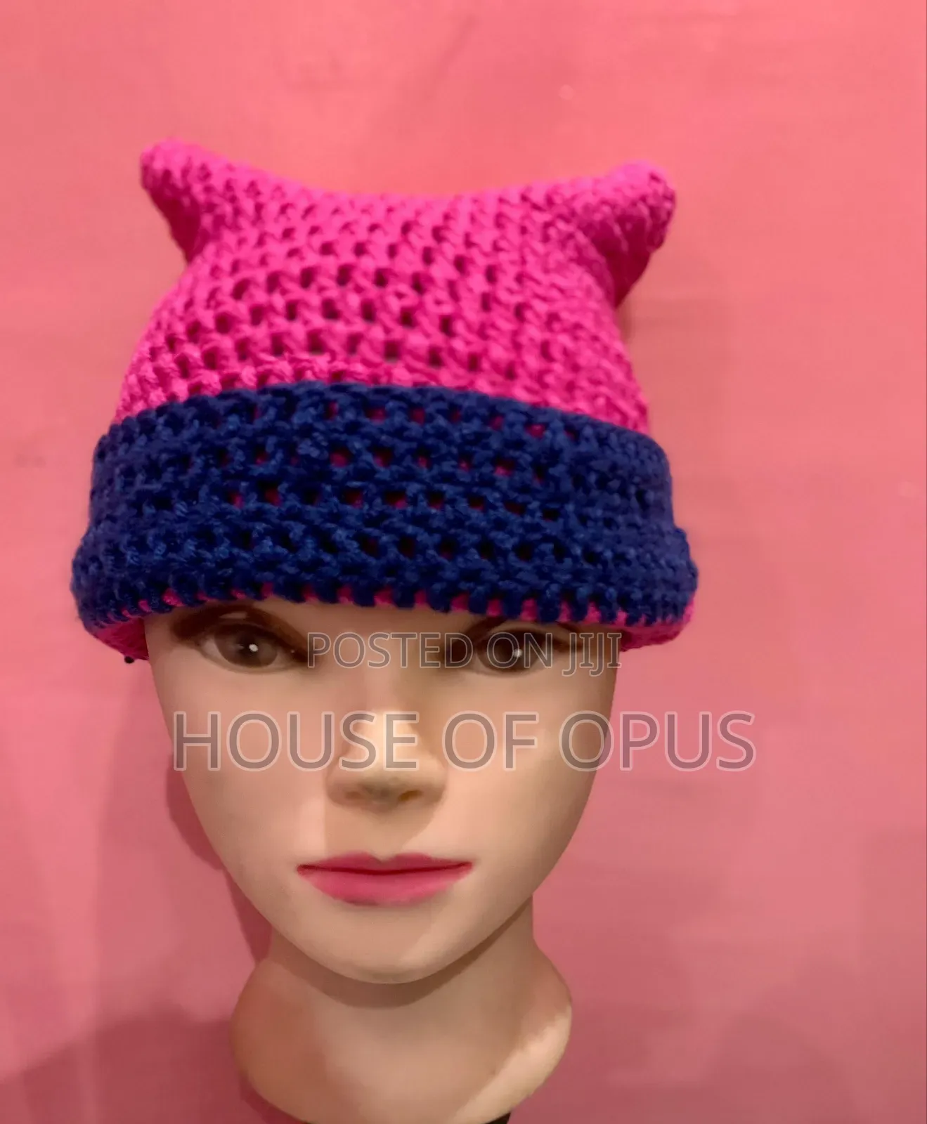 Crochet Cat Beanie