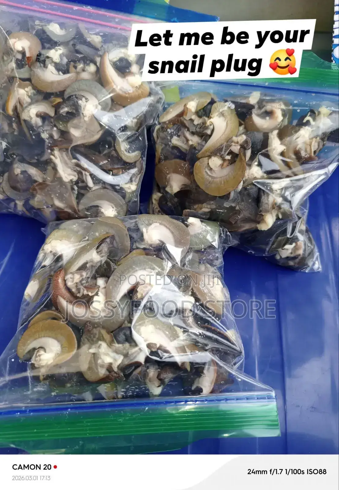 Dried Snails