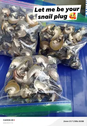 Dried Snails