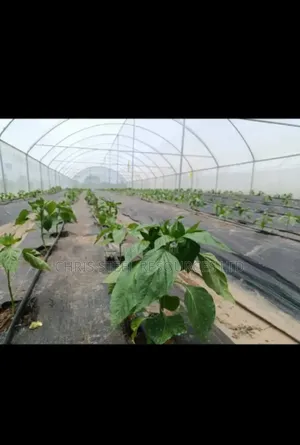 10mby30 Greenhouse Material, Galvanized Pipe,