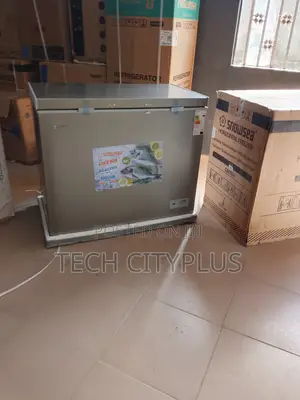 Snowsea 308g Freezer for Stores