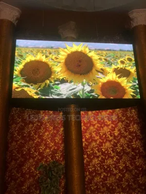 Occasions, Weddings, Church Programs, Lecture Ledscreen