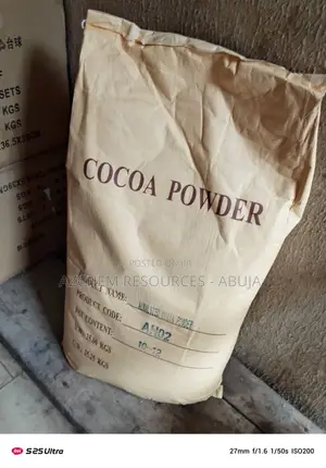 Alkalized Cocoa Powder – 25kg (Food Grade)
