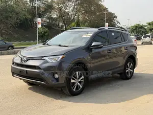 Toyota RAV4 XLE AWD (2.5L 4cyl 6A) 2016 Gray