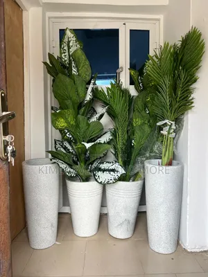 Rental Potted Plants For Events
