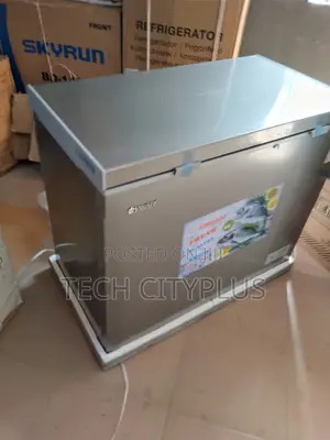 Snowsea Bd308g Freezer for Frozen Foods