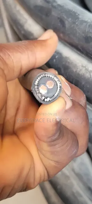 10mm 2core Armoured Cable Swa