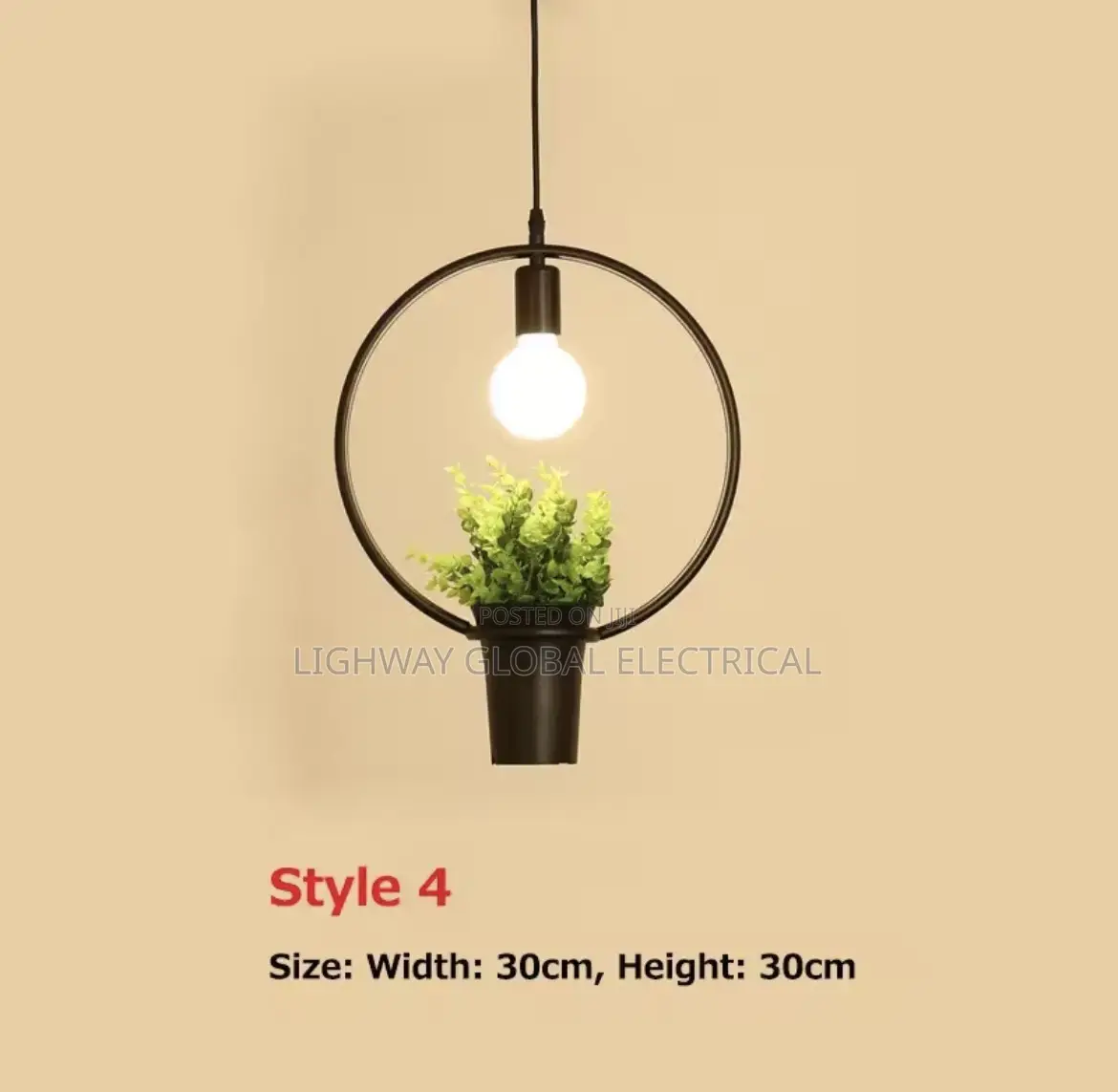 Art Decor Creative Potted Hanging Garden / Cafe Dropping Light