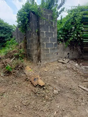 Quarter Plot at Meiran/Ijaye