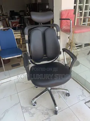 Executive Office Chair (Kidney)