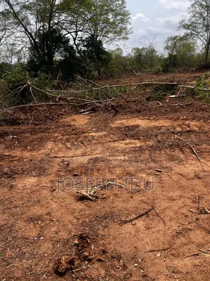 Land at Unity Layout Independence Layout Phase 2 Enugu State