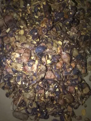 Tamarind For Medicinal Herbs