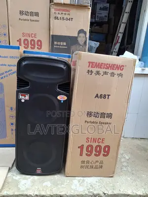Professional 15inches Double P.A System Temeisheng