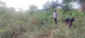 Prime Land for Sale in Simawa