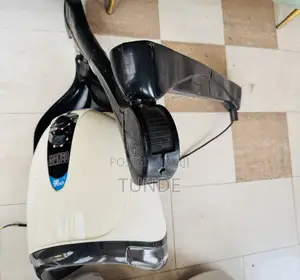 Mango Hair Dryer
