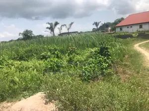 Full Plot of Land in Yabatech Lagasa, Lokowe School Gate