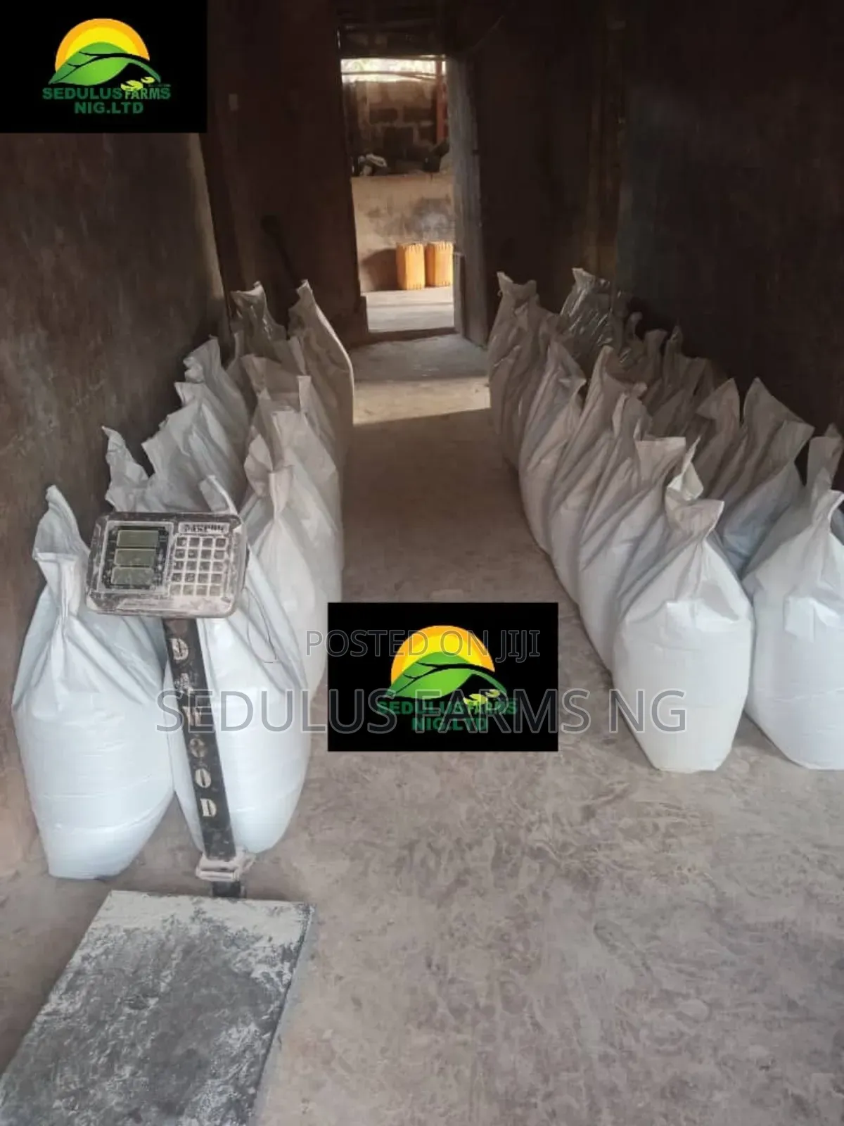 100% Unripe Plantain Flour