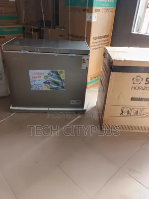 Affordable Snowsea 308g Chest Freezer Big Size
