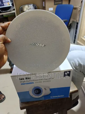Ceiling Speaker