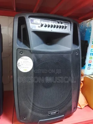 15 Inches Public Address Systems